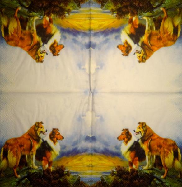 335 Dogs - 3-ply - Specials